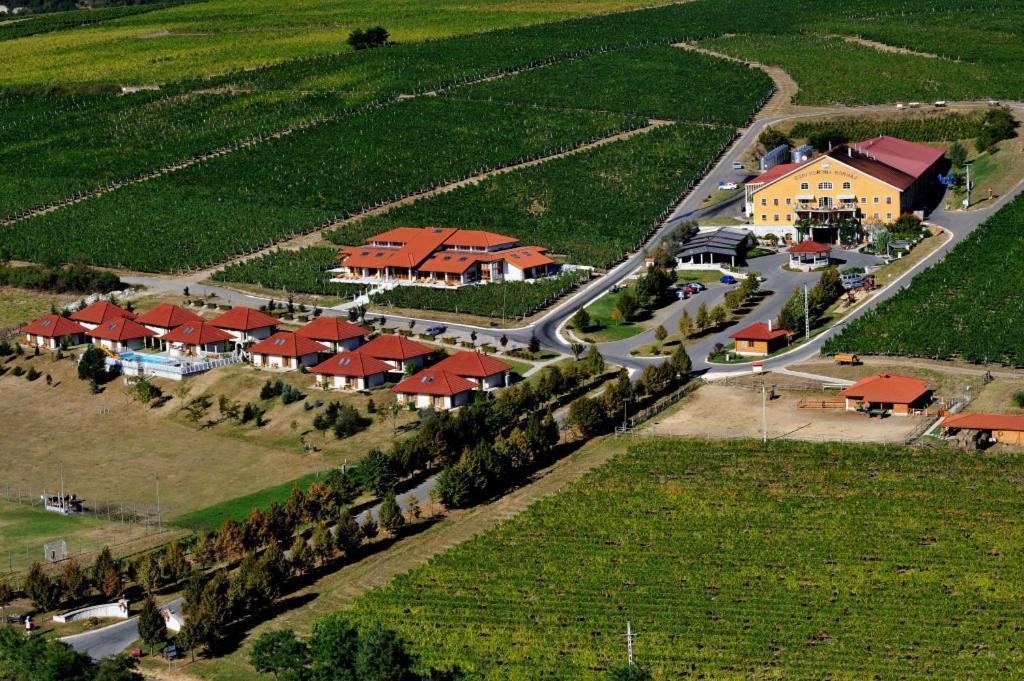 Egri Korona Borház és Wellness Hotel Demjén Esterno foto
